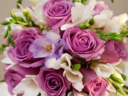 Kế hoạch tổ chức Hội thi thể thao chào mừng ngày Phụ nữ Việt Nam 20/10 năm 2017