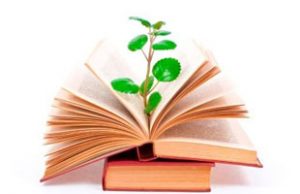 Hướng dẫn thực hiện một số nhiệm vụ chuyên môn trong thời gian nghỉ ở nhà cách ly vì dịch bệnh Covid -19