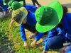 Lao động cộng sản lần 2, năm học 2018 – 2019 (Khối 11)