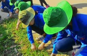 Kế hoạch lao động tuần 03, năm học 2017 – 2018