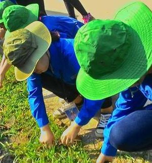 Kế hoạch lao động tuần 35, học kỳ II, năm học 2017 – 2018