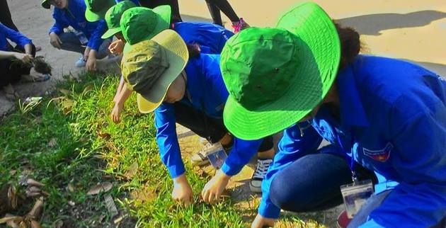 Kế hoạch lao động tuần 24