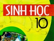 Đề kiểm tra Sinh học 10 năm học 2017-2018