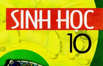 Đề và đáp án bài kiểm tra học kỳ 2 môn Sinh học 10 năm học 2016-2017