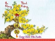 Lịch trực tết nguyên đán Kỷ Hợi – 2019