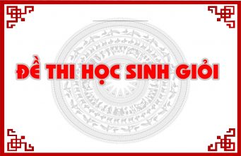 Tổng hợp bộ đề thi học sinh giỏi các năm