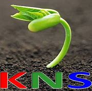 Lịch học, danh sách học sinh khối 10 (phân theo lớp học chính khóa) học lớp Giáo dục kỹ năng sống năm học 2019 – 2020