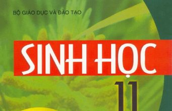 Ma trận đề kiểm tra học kỳ 1 môn Sinh học 11 (2019-2020) (điều chỉnh)