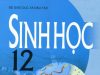 Ma trận đề kiểm tra học kỳ 1 môn Sinh học 12 (2019-2020)