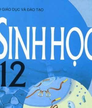 Ma trận đề kiểm tra học kỳ 1 môn Sinh học 12 (2019-2020)