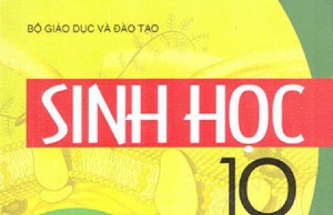 Đề và đáp án Sinh học 10 – Kiểm tra học kỳ 1 năm học 2019-2020