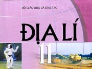 Ma trận đề kiểm tra học kỳ 1 môn Địa lí 11 (2019-2020)