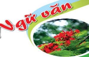 Ma trận đề Ngữ văn 10, 11, 12 Kiểm tra Cuối HK2 2020-2021