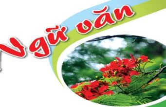 Ma trận đề Ngữ văn 10, 11, 12 Kiểm tra Cuối HK2 2020-2021