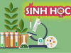 Ma trận đề Sinh học 10, 11, 12 Kiểm tra cuối HK2 2023-2024