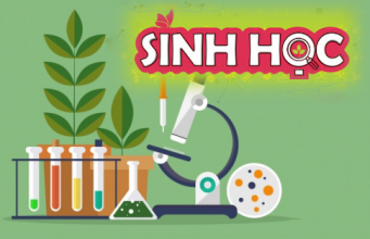 Ma trận đề Sinh học 10, 11, 12 Kiểm tra cuối học kỳ 2 năm học 2019-2020