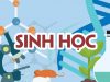 Đề và đáp án Sinh học 10, 11 Kiểm tra giữa HK1 2020-2021