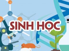 Đề và đáp án Sinh học 10, 11, 12 Kiểm tra giữa học kỳ 2, 2022-2023