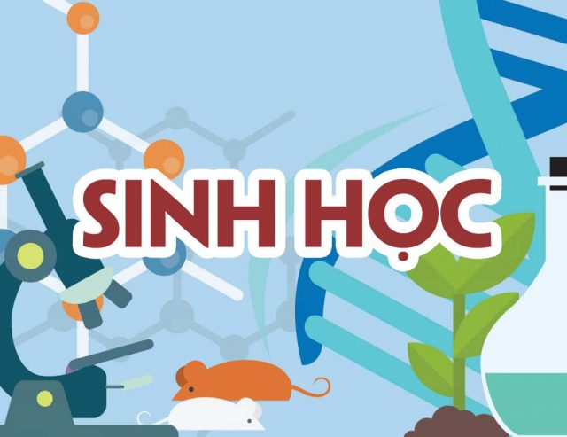 Đề và đáp án Sinh học 10, 11, 12 Kiểm tra giữa học kỳ 2, 2022-2023