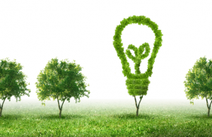 Kế hoạch lao động tuần 28, năm học 2020 – 2021