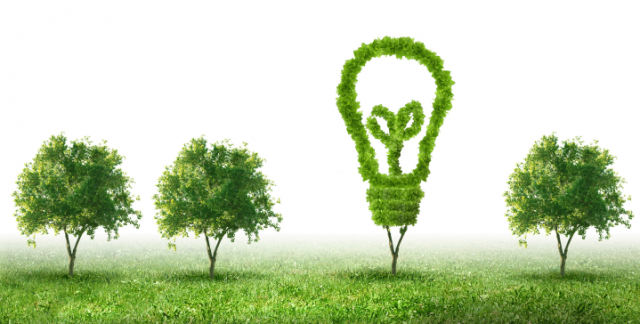 Kế hoạch lao động tuần 28, năm học 2020 – 2021