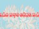 Đề và đáp án GDCD 12 Kiểm tra giữa HK1 2021-2022