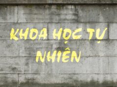 Đề và đáp án Bài thi KHTN Thi thử Tốt nghiệp THPT lần 1, 2022-2023