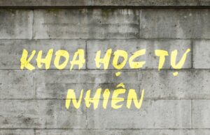 Đề và đáp án tổ hợp KHTN thi thử tốt nghiệp 2021-2022