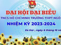 Đại hội đại biểu Đoàn TNCS Hồ Chí Minh trường THPT Ngô Gia Tự nhiệm kỳ 2023 – 2024