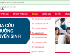 Quyết định chuẩn y điểm chuẩn và số lượng học sinh trúng tuyển vào lớp 10 các trường THPT công lập thi tuyển năm học 2024-2025