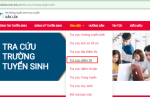Quyết định chuẩn y điểm chuẩn và số lượng học sinh trúng tuyển vào lớp 10 các trường THPT công lập thi tuyển năm học 2024-2025