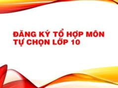 Kế hoạch tổ chức tư vấn đăng ký môn học lựa chọn cho học sinh lớp 10 năm học 2024-2025