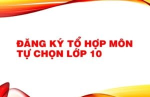 Kế hoạch tổ chức tư vấn đăng ký môn học lựa chọn cho học sinh lớp 10 năm học 2024-2025