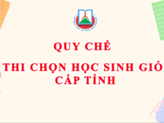 Quy chế thi chọn HSG cấp tỉnh áp dụng từ năm học 2024-2025