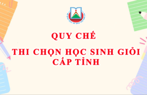 Quy chế thi chọn HSG cấp tỉnh áp dụng từ năm học 2024-2025
