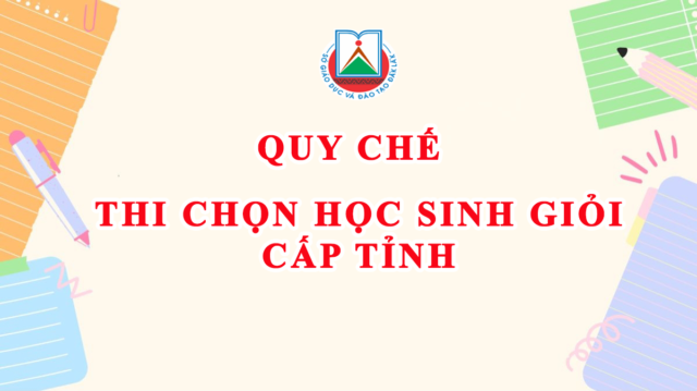 Quy chế thi chọn HSG cấp tỉnh áp dụng từ năm học 2024-2025