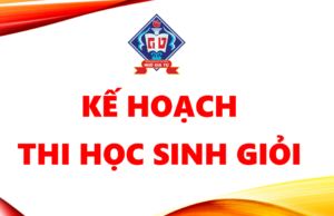 Kế hoạch tổ chức kỳ thi chọn học sinh giỏi cấp trường năm học 2025-2026