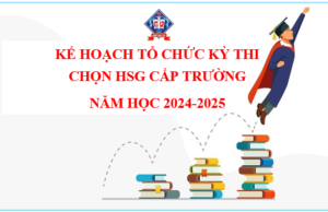 Kế hoạch tổ chức Kỳ thi chọn HSG cấp trường năm học 2024-2025