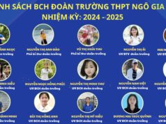 Ban Chấp Hành Đoàn TNCS Hồ Chí Minh trường THPT Ngô Gia Tự nhiệm kỳ 2024 – 2025