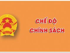Hướng dẫn thực hiện nghị định 66, nghị định 81, thông tư 42 học kỳ II năm học 2024-2025