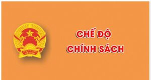 Hướng dẫn thực hiện nghị định 66, nghị định 81, thông tư 42 học kỳ II năm học 2024-2025
