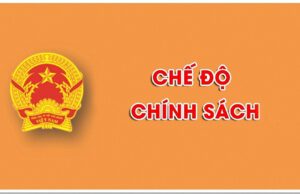 Hướng dẫn thực hiện nghị định 66, nghị định 81, thông tư 42 học kỳ II năm học 2024-2025