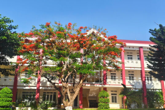Kế hoạch triển khai xét thăng hạng chức danh nghề nghiệp năm 2026