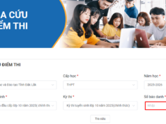 Tra cứu điểm thi tuyển sinh vào lớp 10 năm học 2025-2026