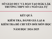 Kết quả kiểm tra, đánh giá lại và kiểm tra bổ sung kiến thức để xét chuyển đổi môn học lựa chọn năm học 2024-2025