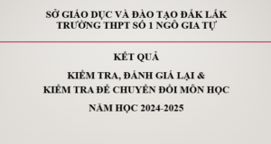 Kết quả kiểm tra, đánh giá lại và kiểm tra bổ sung kiến thức để xét chuyển đổi môn học lựa chọn năm học 2024-2025