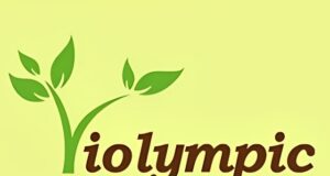 Kế hoạch tổ chức Cuộc thi Violympic năm học 2025-2026