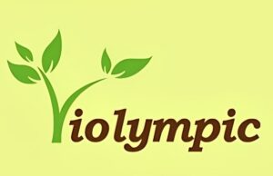 Kế hoạch tổ chức Cuộc thi Violympic năm học 2025-2026