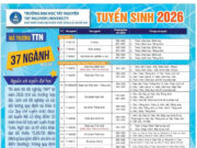 Giới thiệu thông tin tuyển sinh Trường Đại học Tây Nguyên năm 2026