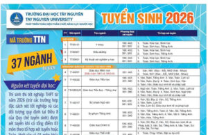 Giới thiệu thông tin tuyển sinh Trường Đại học Tây Nguyên năm 2026